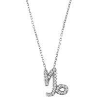 Zodiac Star Sign Pendant Necklace Silver Capricorn