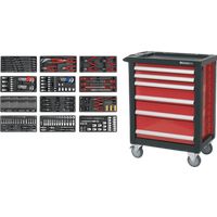 Sealey Rollcab 6 Drawer with Ball Bearing Slides with 298pc Tool Kit - AP2406TBTC01