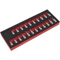 Sealey Premier Trx-Star Torx Hex Allen Spline Socket Bit Set 22pc 3/8" Drive