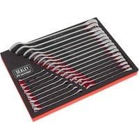 Sealey Premier 25pc Combination Wrench Spanner Set Foam Tray 6-32mm Metric BB21