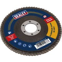 Ø100mm Aluminium Oxide Flap Disc Ø16mm Bore 80Grit