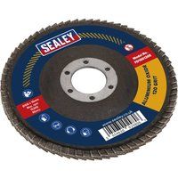 Ø100mm Aluminium Oxide Flap Disc Ø16mm Bore 120Grit