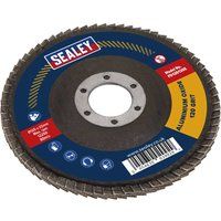 Ø125mm Aluminium Oxide Flap Disc Ø22mm Bore 120Grit