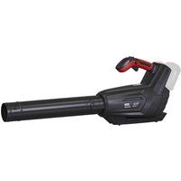 Sealey 40V SV20 Series Blower Body Only - CP40VB