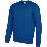 AWDis Academy Mens Crew Neck Raglan Sweatshirt  RW3916