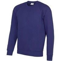 AWDis Academy Mens Crew Neck Raglan Sweatshirt  RW3916