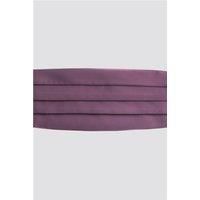 Scott & Taylor Wine Cummerbund