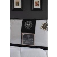 Anti Allergy Pillow Pair