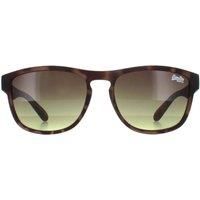Superdry Sunglasses Rockstar 170A Brown Brown