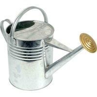ARBORIA Garden Plant Flower Colour Galvanised Metal Steel Watering Can 9L 9 Litre / 2 Gallon with Brass Rose