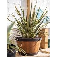 Plant Avenue Plastic Plant Pot, Light, 39cm