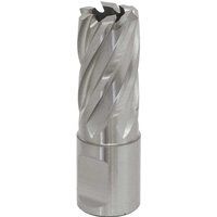 Sealey Ø17mm HSS Mag Drill Bit - Cut Depth 25mm - RBHSS17S