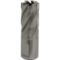 Sealey RBHSS19S Rotabor Cutter HSS 19mm  Cut Depth 25mm