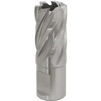 Worksafe RBHSS21S Ø21mm Rotabor Cutter HSS - Cut Depth 25mm