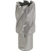 Worksafe RBHSS25S Ø25mm Rotabor Cutter HSS - Cut Depth 25mm