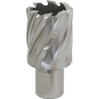 Sealey RBHSS29S Rotabor Cutter HSS 29mm - Cut Depth 25mm