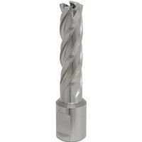 Sealey Worksafe HSS Metal Mag Drill Rotabor Cutters, Choose 12mm to 51mm Bits