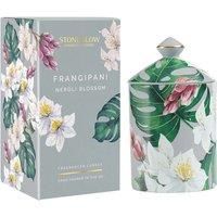 Stoneglow Urban Botanics - Frangipani| Neroli Blossom Candle in Ceramic Jar