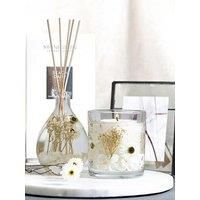 Nature's Gift Beach Daisy Natural Wax Gel Candle