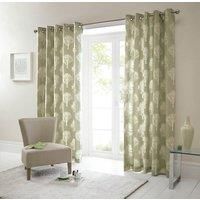 Fusion - Woodland Trees - 100% Cotton Pair of Eyelet Curtains - 66" Width x 72" Drop (168 x 183cm) in Green