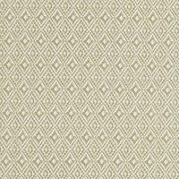 iLiv Aztec Fabric Pampas