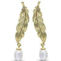 The Love Collection Gold Plated Sterling Silver Leaf Earrings