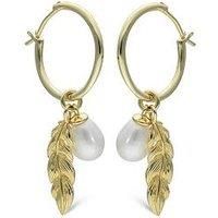 The Love Collection Gold Plated Sterling Silver Leaf Hoop Earrings