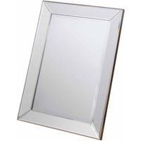 Olive Medium Rectangle Wall Mirror - Champagne