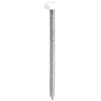 TIMCO PN25W Polymer Headed Nail 25mm - White (Box of 100)
