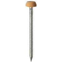 TIMCO PN30O Polymer Headed Nail 30mm - Oak (Box of 100)