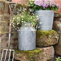 Ivyline Galvanised Milk Churn Planter