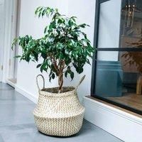 Ivyline Seagrass Chevron Medium White Lined Basket Planter - Hand Finished, Stylish & Waterproof - Decorative Woven Indoor Flower Pot - H30cm x D35cm