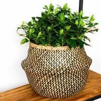 Ivyline Seagrass Chevron Black Lined Basket / Planter- 25Cm