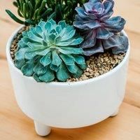Ivyline Pisa Premium Glaze Bowl Ceramic Planter on Legs - White - Premium Quality, UV Stable & Waterproof Indoor Decorative Flower Pot - H14cm x D19cm