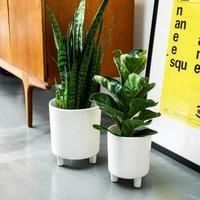 Ivyline Pisa White Planter