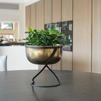 Indoor Kensington Brass Metal Round Planter on Stand H30Cm W28Cm
