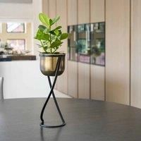 Ivyline Indoor Kensington Tall Brass Metal Round Planter On Stand - H42Cm X W20Cm