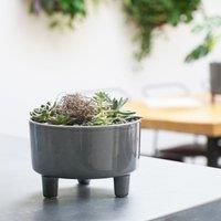 Ivyline Pisa Premium Glaze Bowl Ceramic Planter on Legs in Slate - Premium Quality, UV Stable & Waterproof Indoor Decorative Flower Pot - H14cmxD19cm