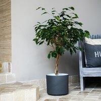 Ivyline Leon Granite Planter - D32Cm