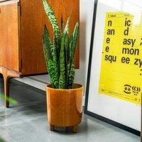 Ivyline Pisa Mustard Planter - H24Cm X D20Cm