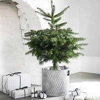 Ivyline Indoor Christmas Tree Bucket Zinc H28cm W28cm