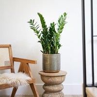 Ivyline Solis Embossed Planter Gold H18CM D18CM