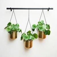 Ivyline Linear Hanging Planters In Black And Gold - 81Cm