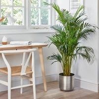 Ivyline Indoor Chelsea Pewter Planter - H28Cm D28Cm