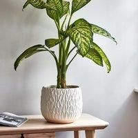 Ivyline Aries Leaf Embossed Bowl Planter in White - Stylish, Waterproof & Durable - Decorative Round Glazed Indoor Ceramic Flower Pot - H20cm x W22cm