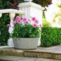 Ivyline Outdoor Matlock Oval Planter H:34 x W:58.50 Cm