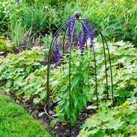 Ivyline Outdoor Plant Support Zinc H50cm W26cm