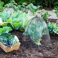 Ivyline Outdoor Wired Plant Protector Zinc H48cm W36