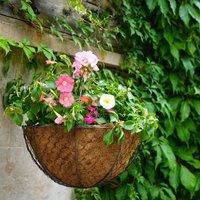 Ivyline Outdoor Hanging Wired Netted Basket Zinc H40cm D40cm