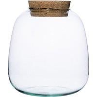 Ivyline Bowl Shape DIY Terrarium Kit in Medium – Waterproof Succulents/Flowers Plant House – Indoor Home Centrepiece – H20 x D19cm